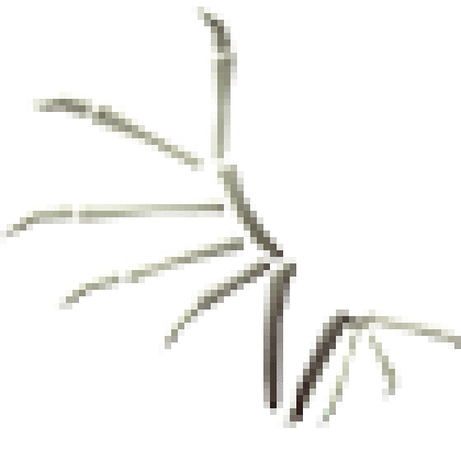 Bone Wings