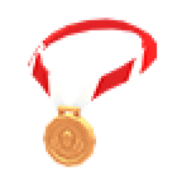 Bronze Medal