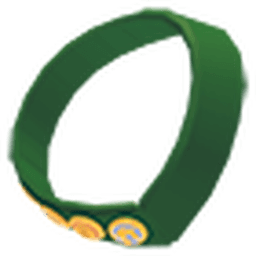 Camp Patch Sash