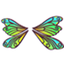 Clubtail Dragonfly Wings