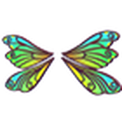 Clubtail Dragonfly Wings