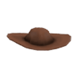 Cowboy Hat