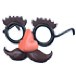 Disguise Glasses