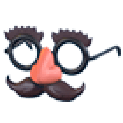 Disguise Glasses