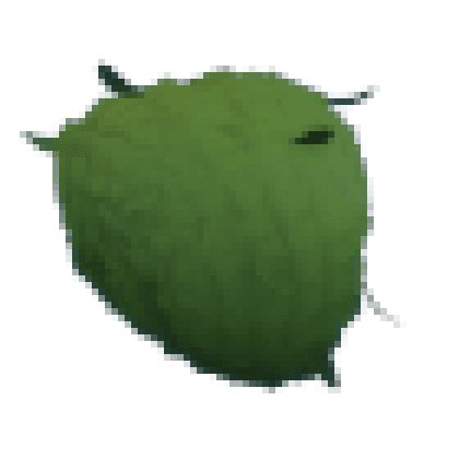 Eco Green Leaf Afro