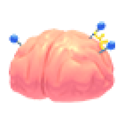 Exposed Brain
