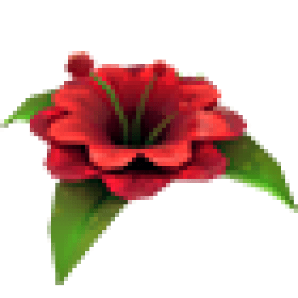 Forgotten Flower