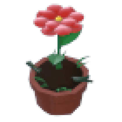 Growing Flower Hat