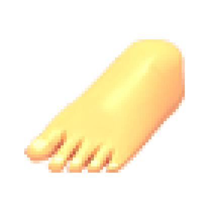 Human Feet Shoes