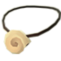 Nautilus Shell Necklace