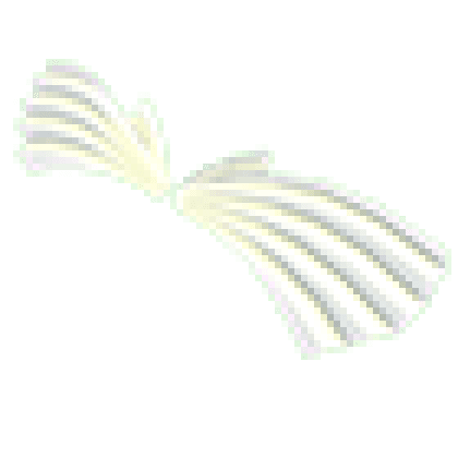Paper Wings