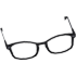 Prescription Glasses