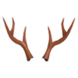 Reindeer Antlers