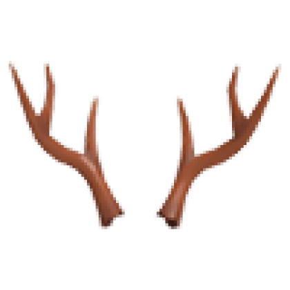 Reindeer Antlers