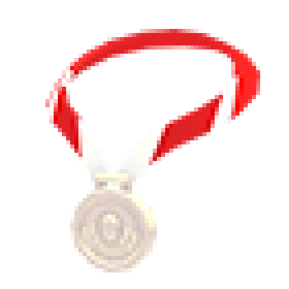 Silver Medal