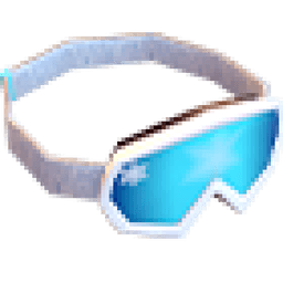 Ski Goggles