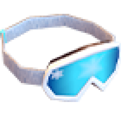 Ski Goggles