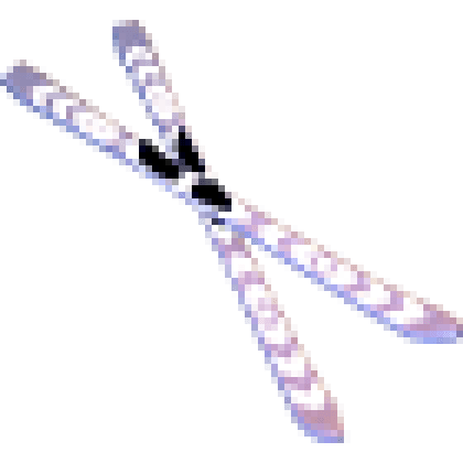 Skis