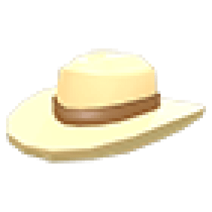 Ten Gallon Hat