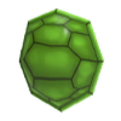 Turtle Shell