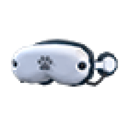 VR Goggles