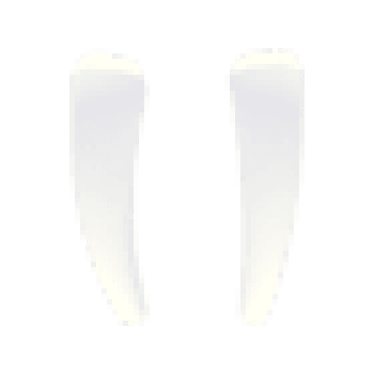 Walrus Tusks