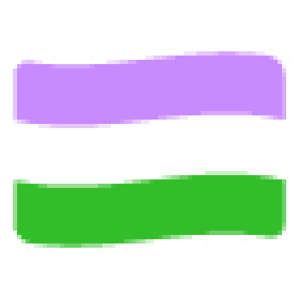 Gender Queer Flag