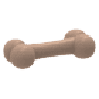Bone Throw Toy
