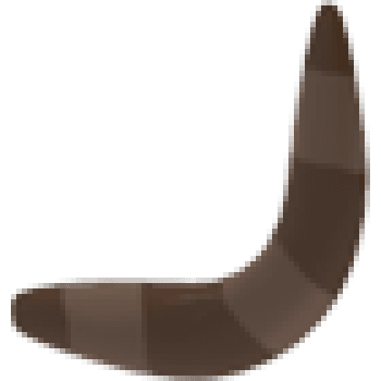 Boomerang Throw Toy