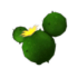 Cactus Balloon
