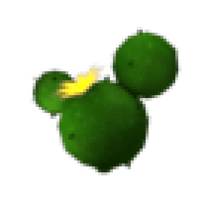 Cactus Balloon