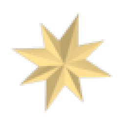 Christmas Star Flying Disc