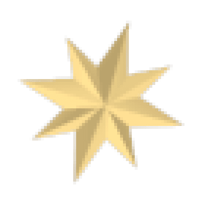 Christmas Star Flying Disc