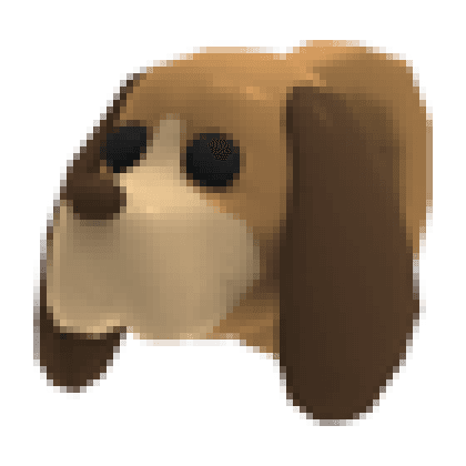 Dog Leash