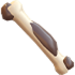 Fossil