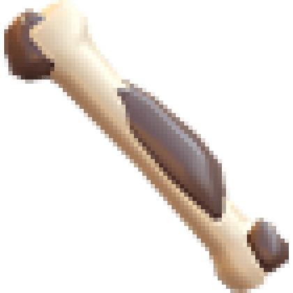 Fossil