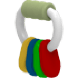 Key Chew Toy