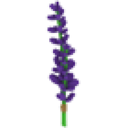 Lavender Bundle