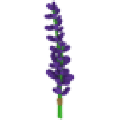 Lavender Bundle