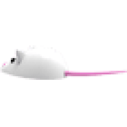 Mouse Chew Toy