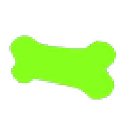 Pluboneium Chew Toy