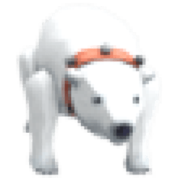 Polar Bear Plush