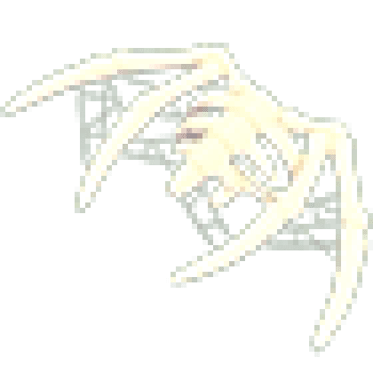 Skeleton Winged Glider