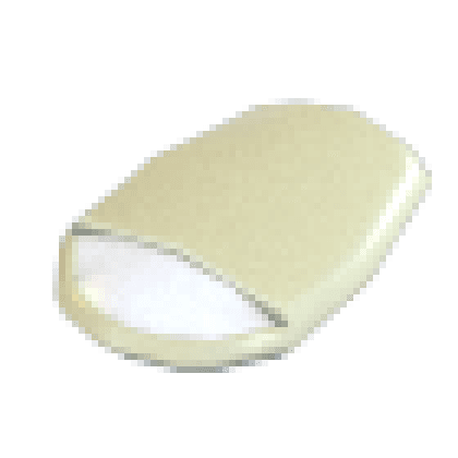 Sleeping Bag