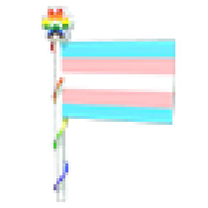 Transgender Flag 2023