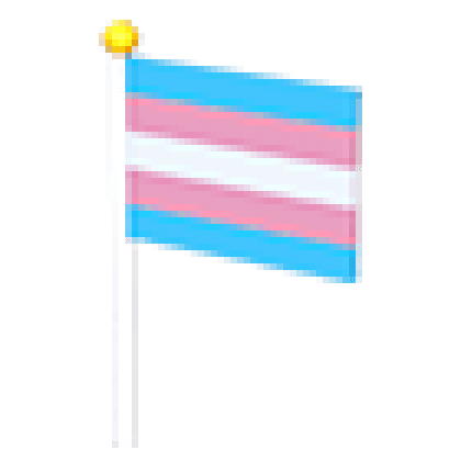 Transgender Flag