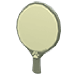 Voting Paddle
