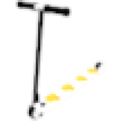 Duck Scooter