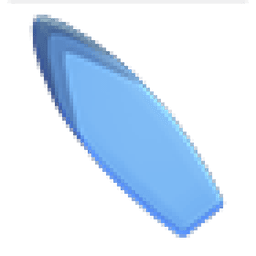 Party Surfboard