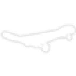 White Skateboard